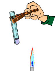 Animation1